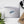 Load image into Gallery viewer, Everyday Win by Noon Sticker